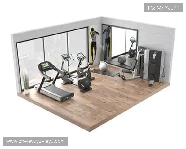 高端健身器材品牌打造家庭健身房典范